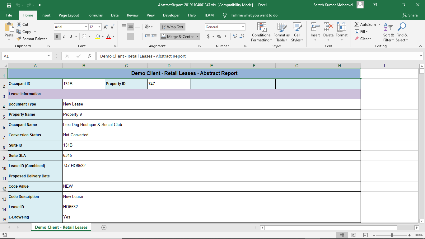 Abstract report - excel view
